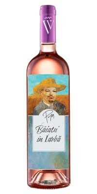 Sarica Niculitel Baiatu in Iarba Rose