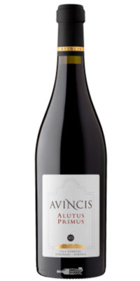 Avincis Alutus Primus